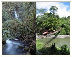 Slider image (7) MedTravel Costa Rica